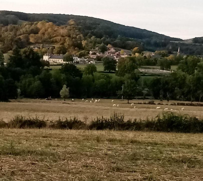 Photo of Others in Onlay