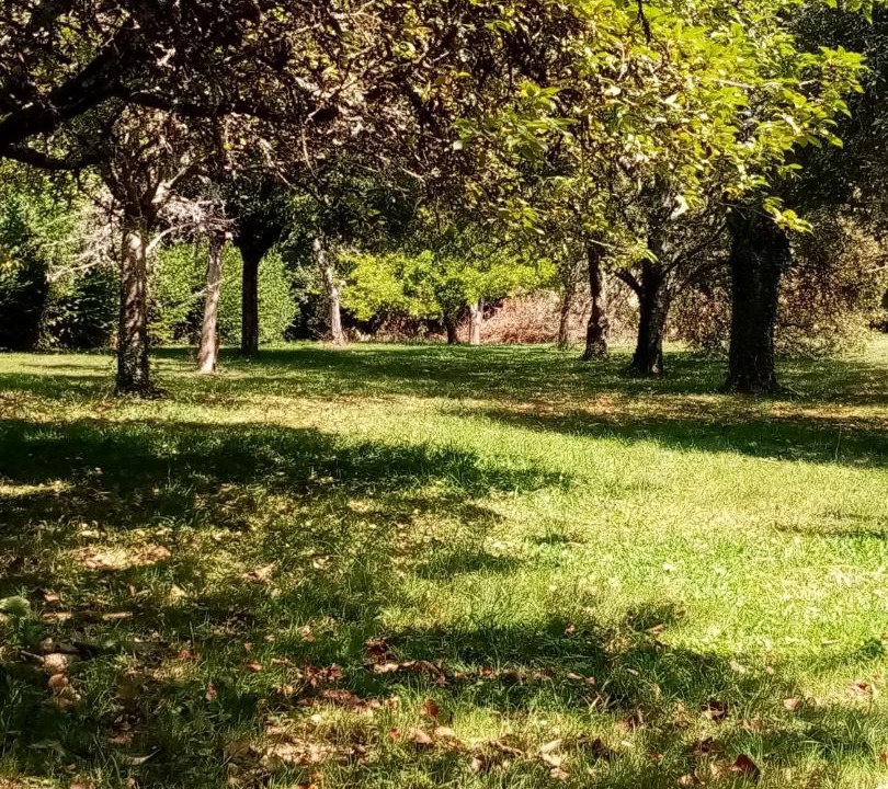 Photo of Others in Onlay