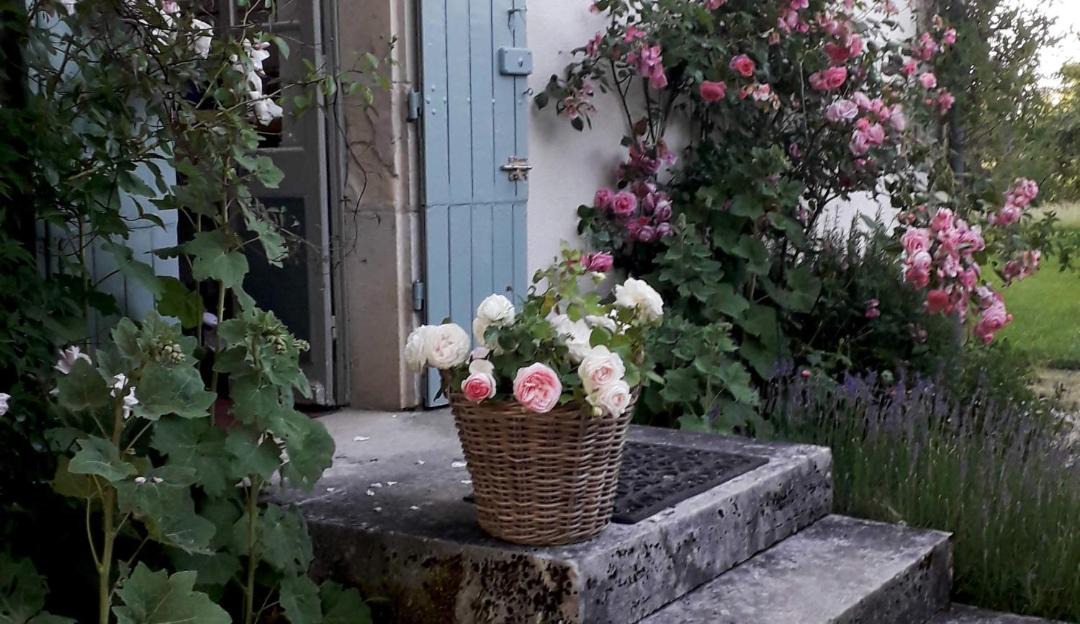 Photo of Others in Vitry-Lache