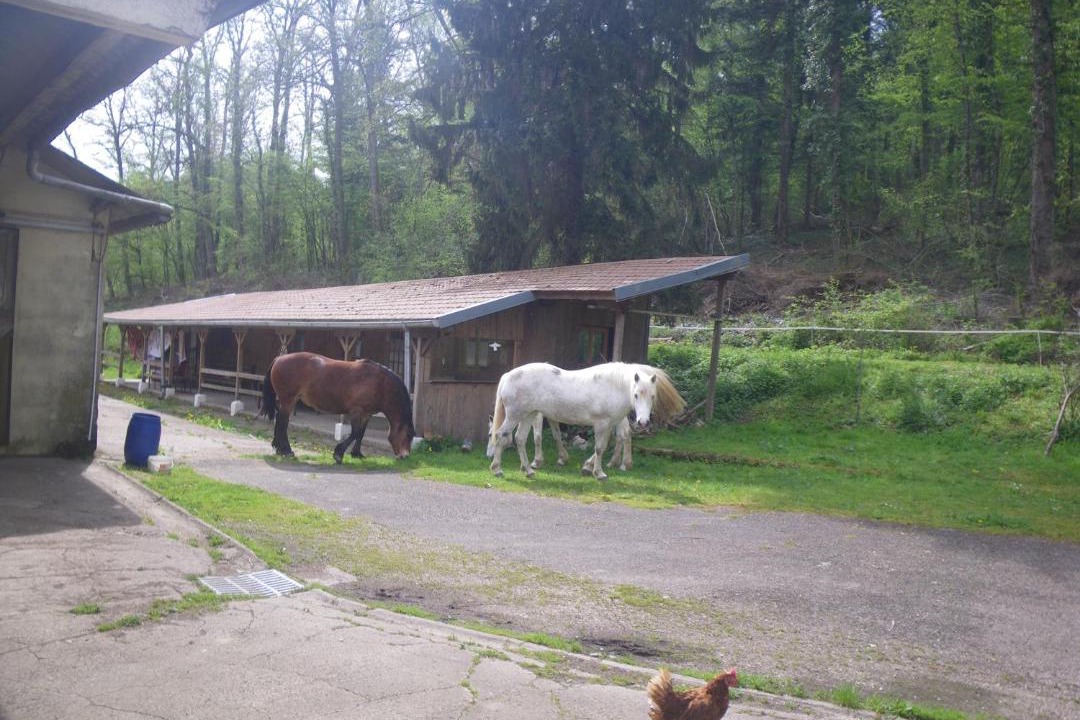 Photo of Others in Chaudenay