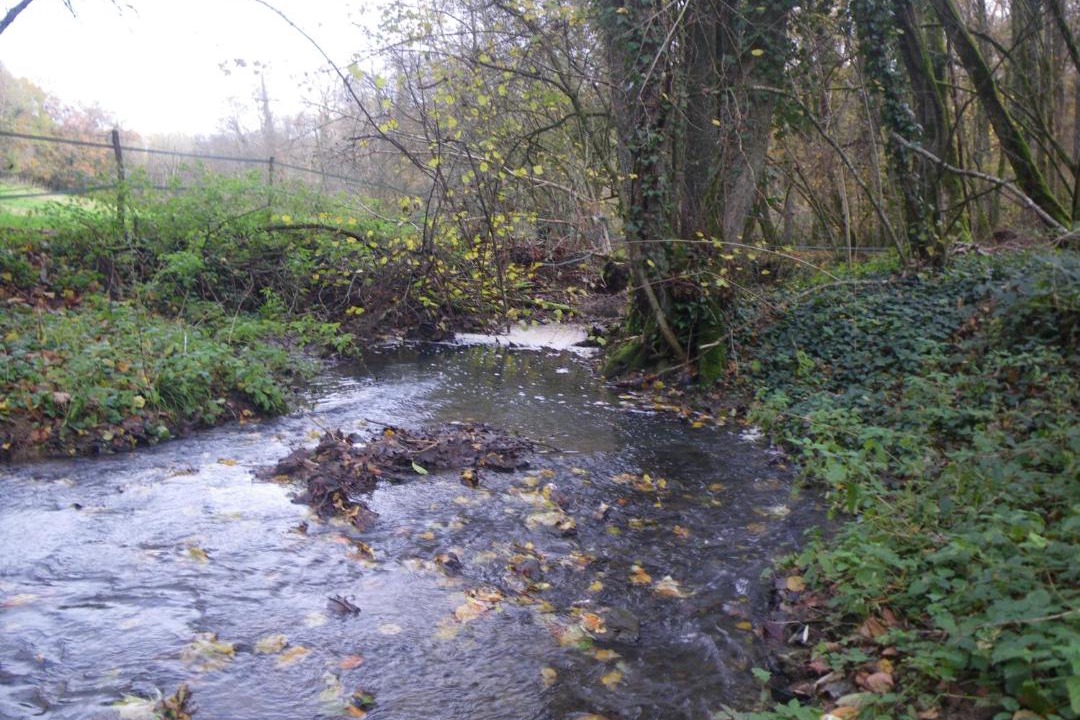 Photo of Others in Chaudenay