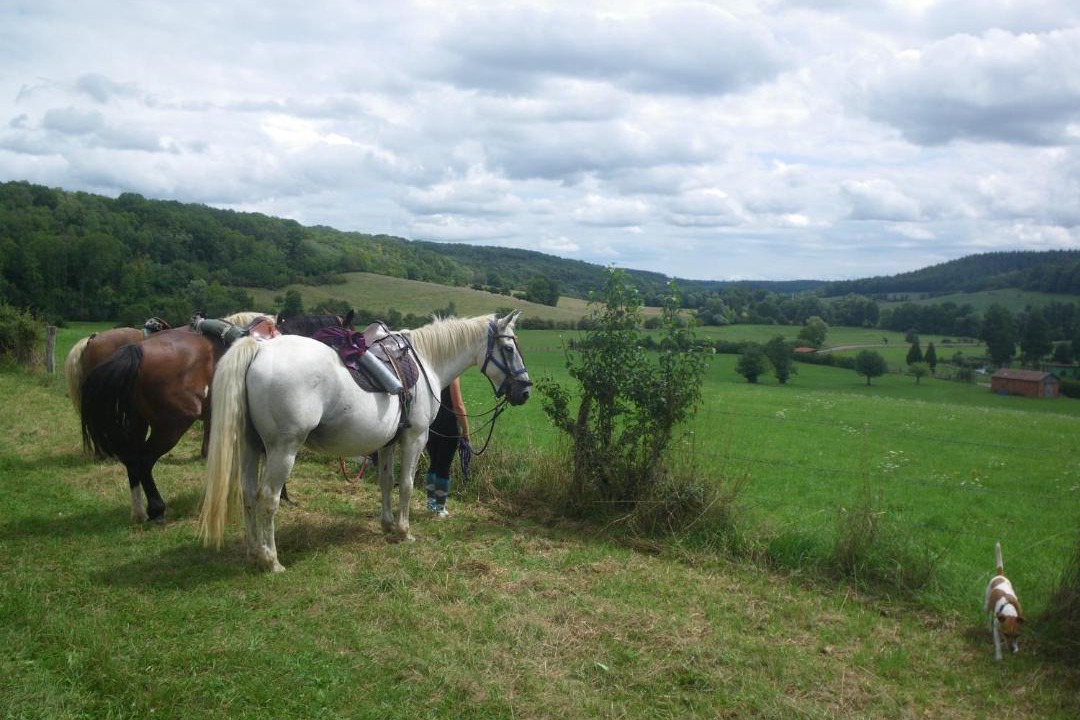 Photo of Others in Chaudenay