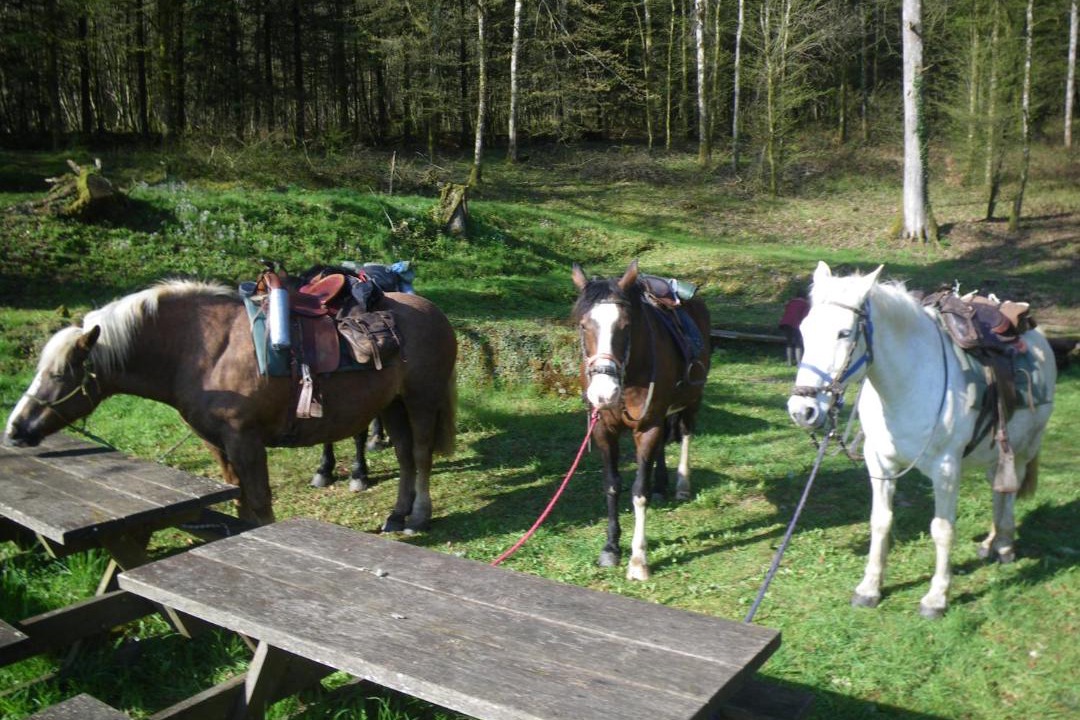 Photo of Others in Chaudenay