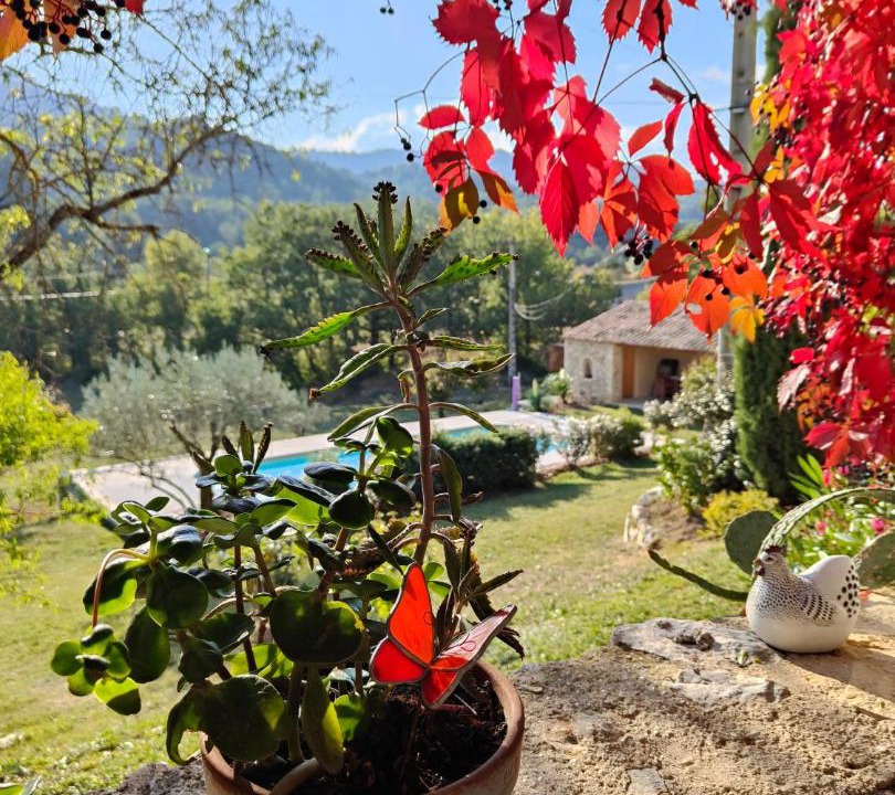 Photo of Others in Buis-les-Baronnies