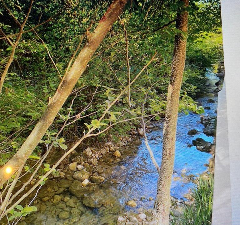 Photo of Others in Arbent