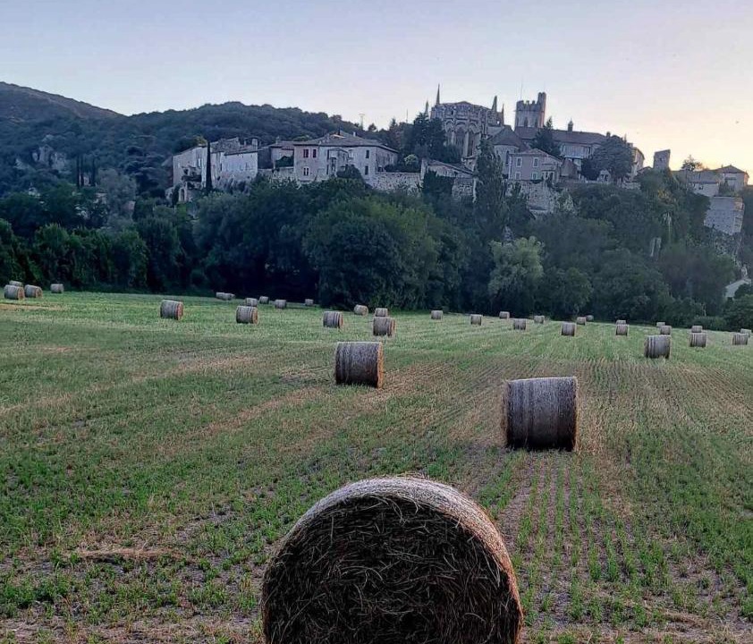 Photo of Others in Viviers