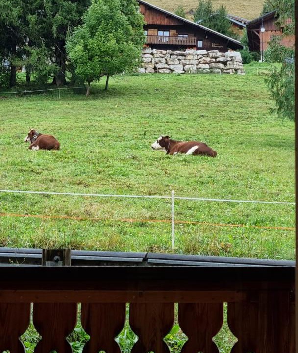 Photo of Others in Chatel