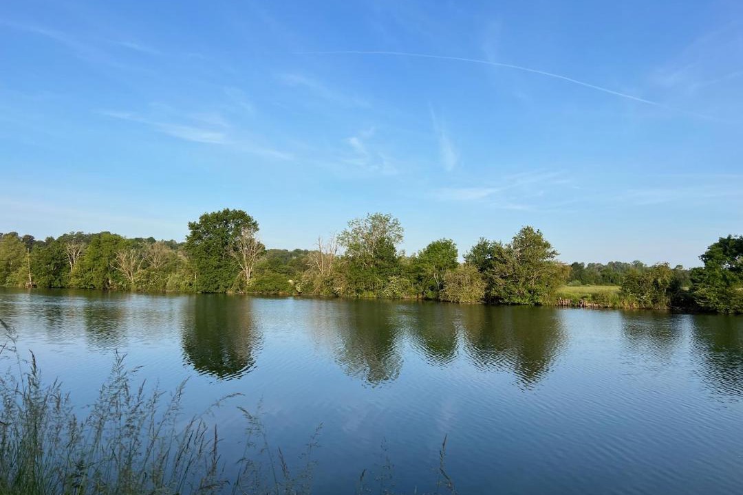 Photo of Others in Beaujeu-Saint-Vallier-Pierrejux-et-Quitteur