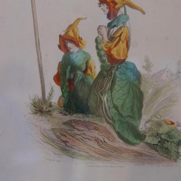Photo of Others in Romans-sur-Isere