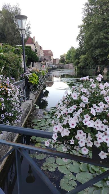 Photo of Others in Paroisse Notre-Dame
