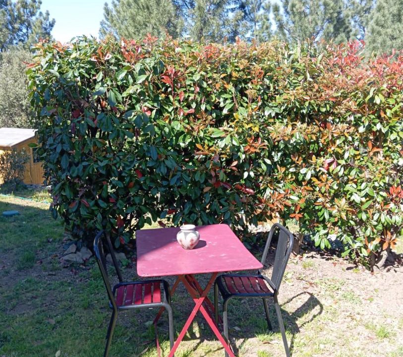 Photo of Outdoor in Prades