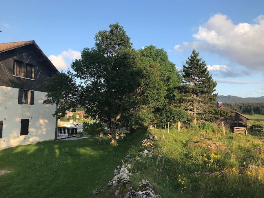 Photo of Others in Lajoux