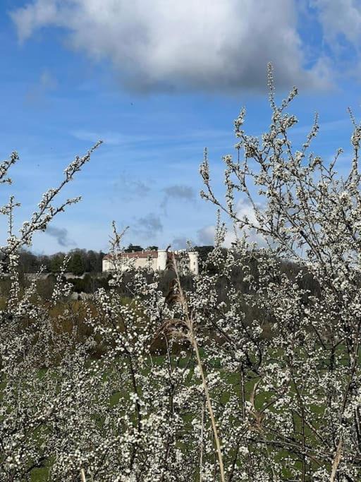 Photo of Others in Ray-sur-Saone