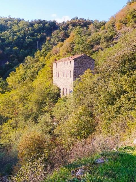 Photo of Others in Vernosc-les-Annonay