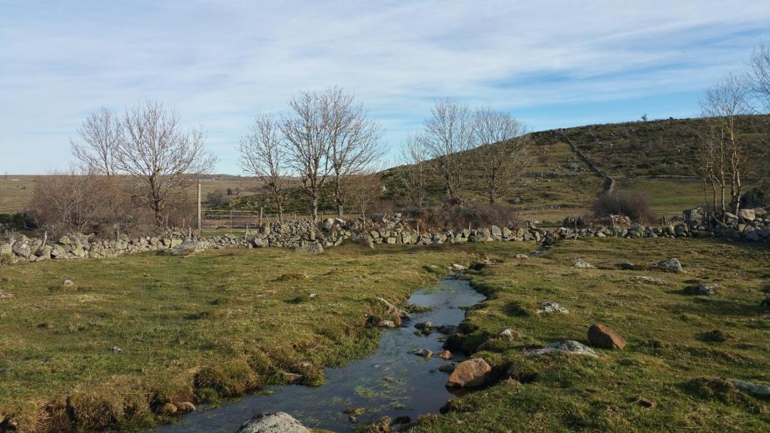 Photo of Others in Recoules-d'Aubrac