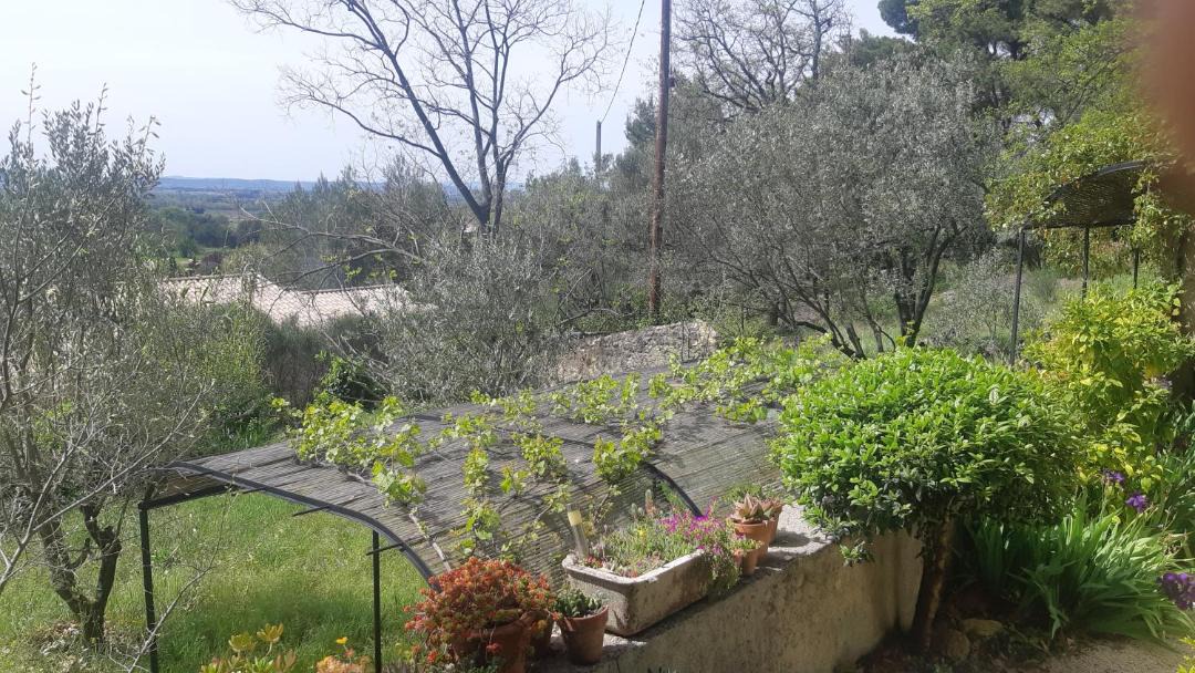 Photo of Others in Visan