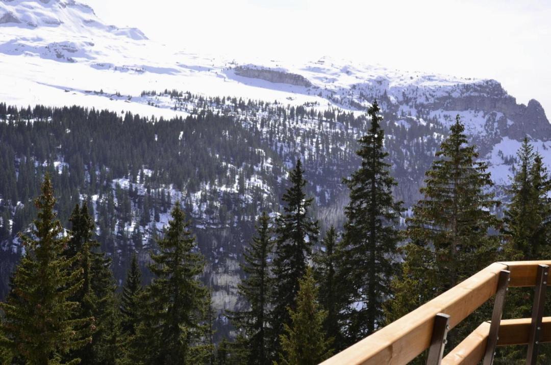 Photo of Others in Flaine