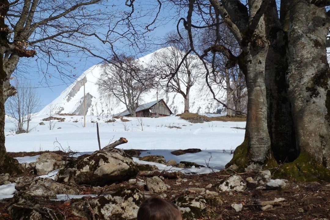 Photo of Others in Le Bouchet-Mont-Charvin