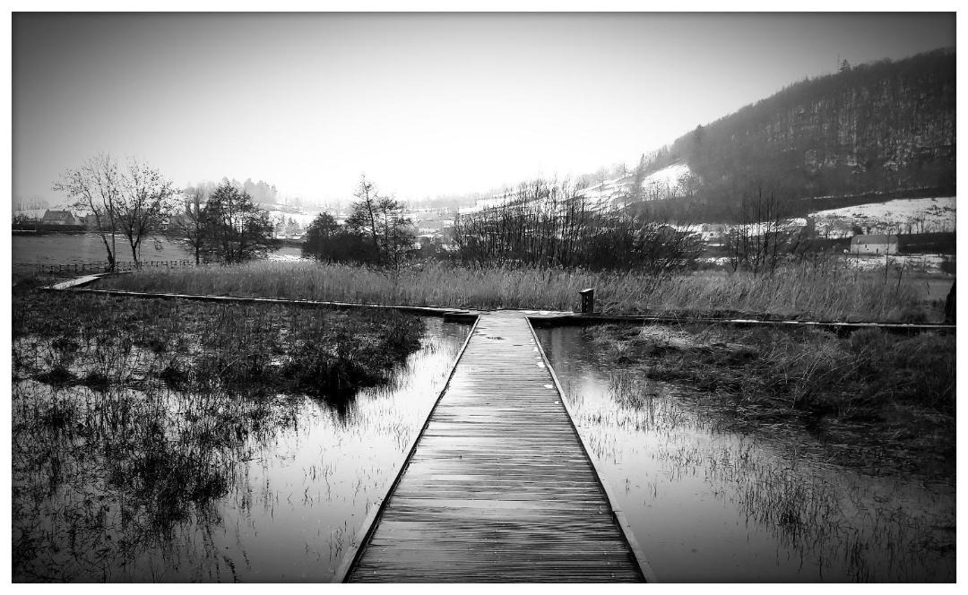 Photo of Others in Riom-es-Montagnes