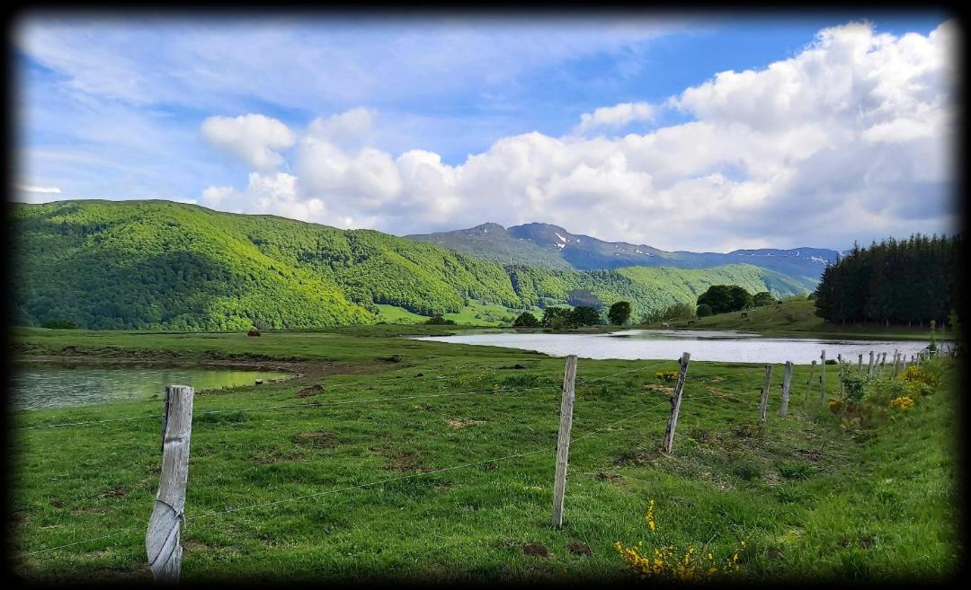Photo of Others in Riom-es-Montagnes