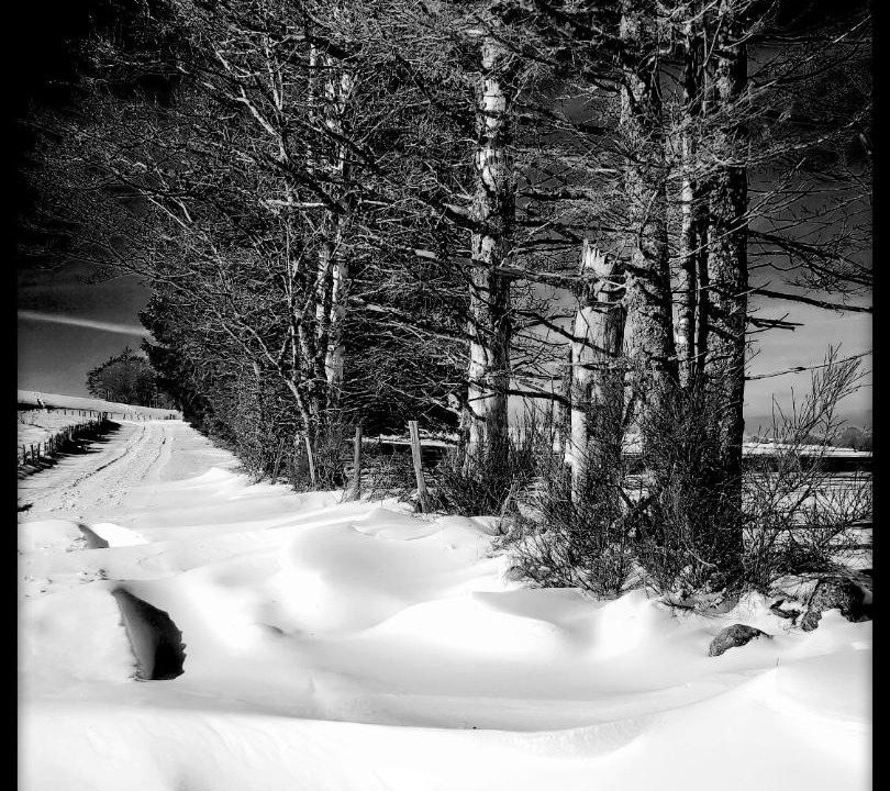 Photo of Others in Riom-es-Montagnes