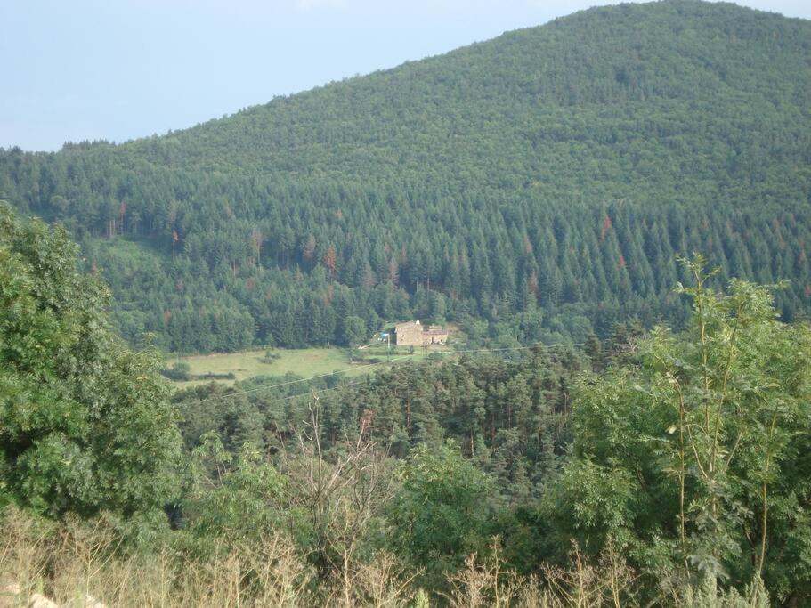 Photo of Others in Bozas