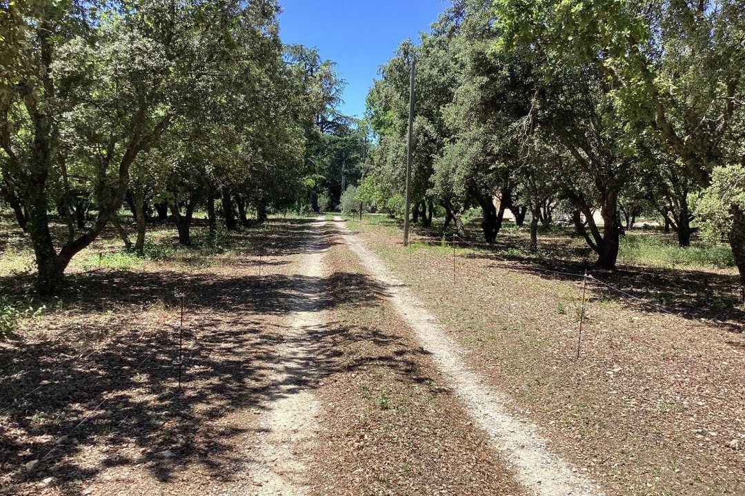 Photo of Outdoor in La Baume-de-Transit