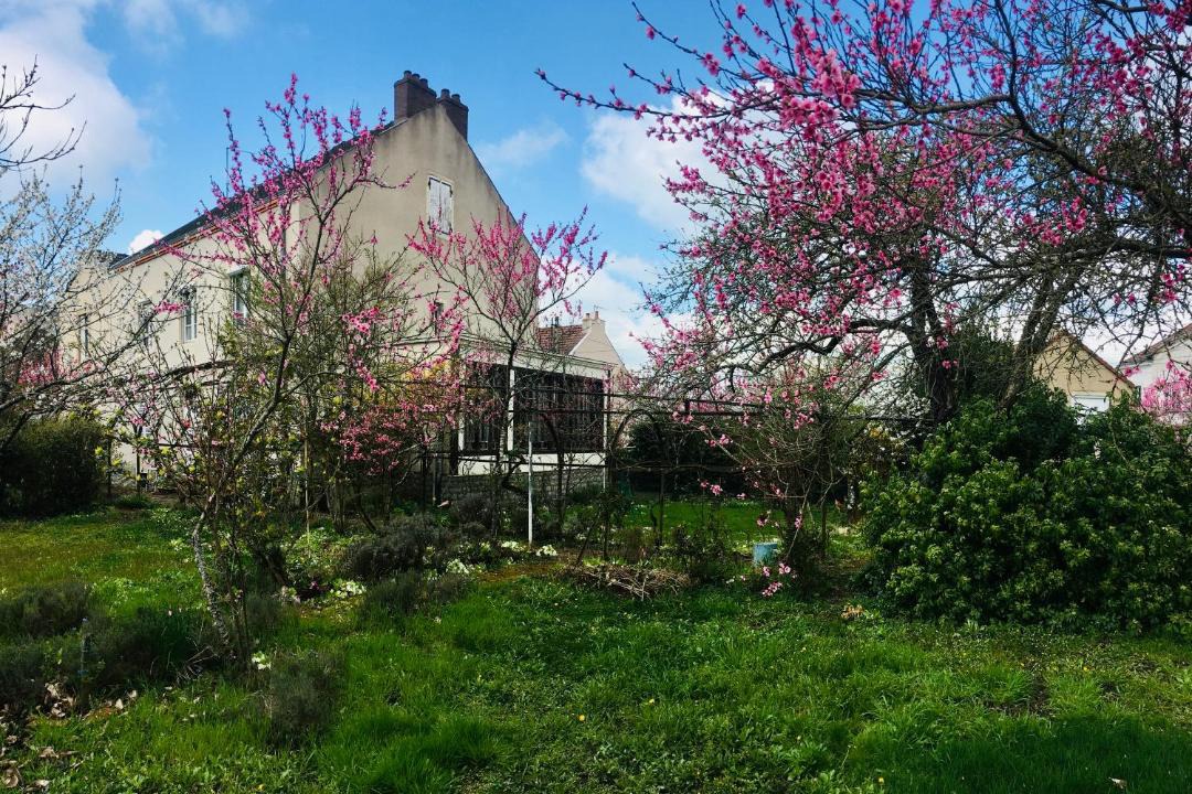 Photo of Others in Montceau-les-Mines