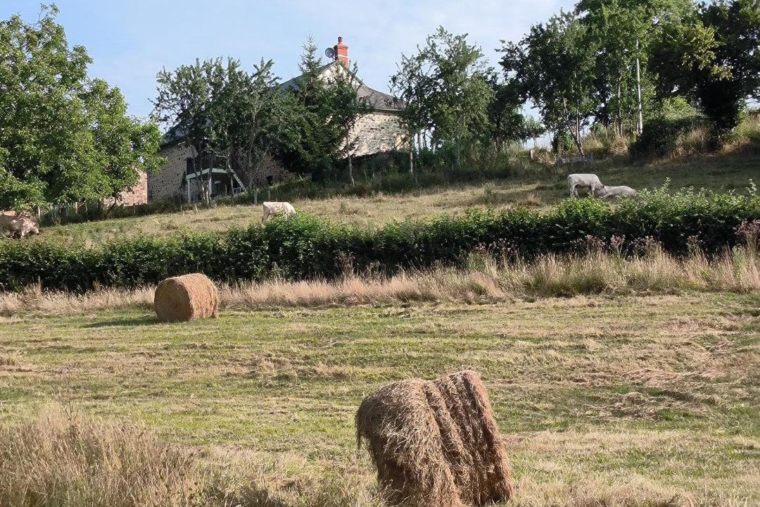 Photo of Others in Larochemillay