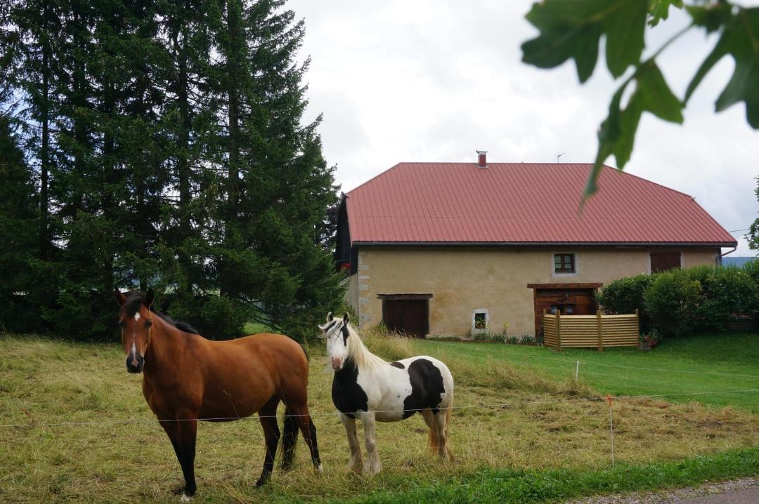 Photo of Others in Foncine-le-Haut