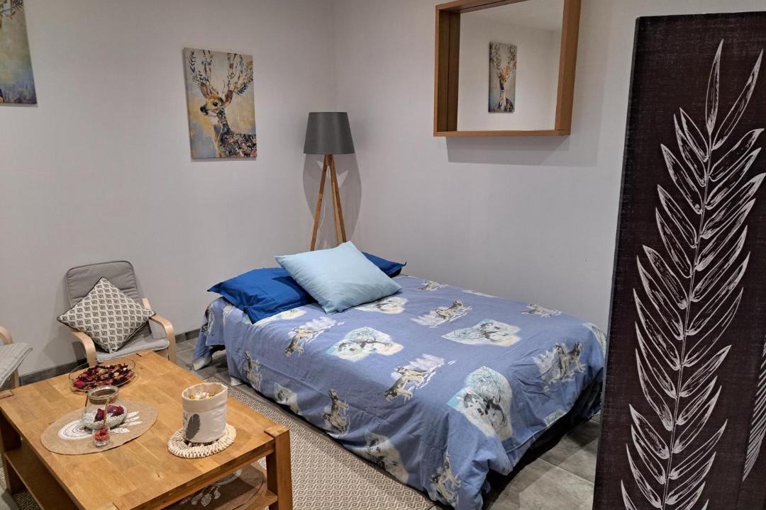 Photo of Bedroom in Pierre-de-Bresse