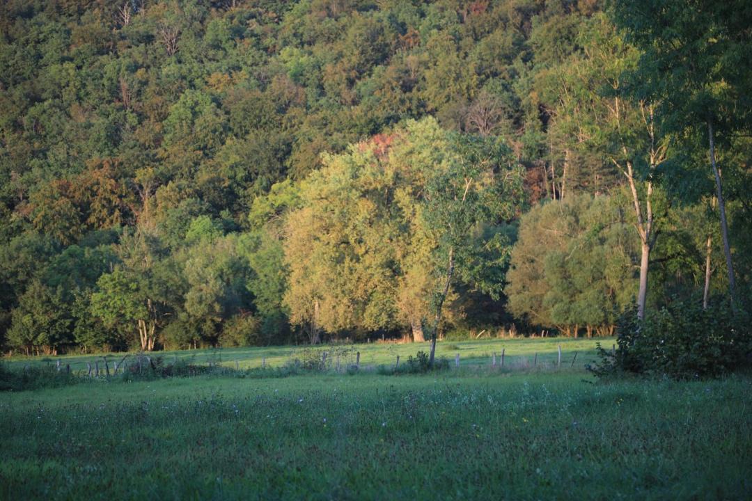 Photo of Others in Gudmont