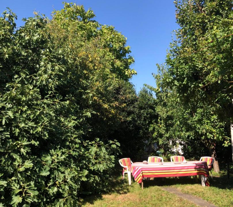 Photo of Outdoor in Plateau — Pyramide