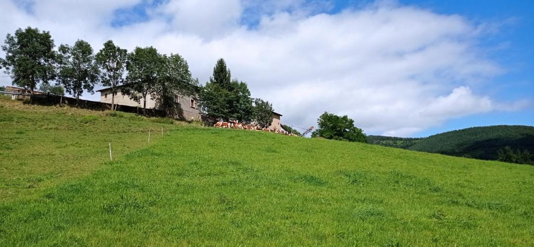 Photo of Others in Brullioles