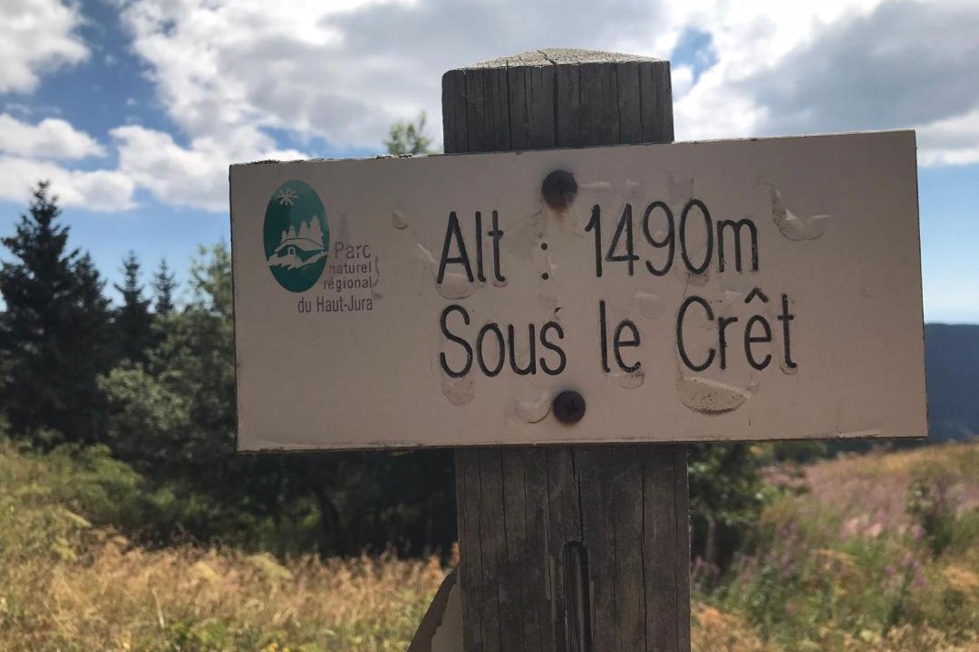 Photo of Others in Choux