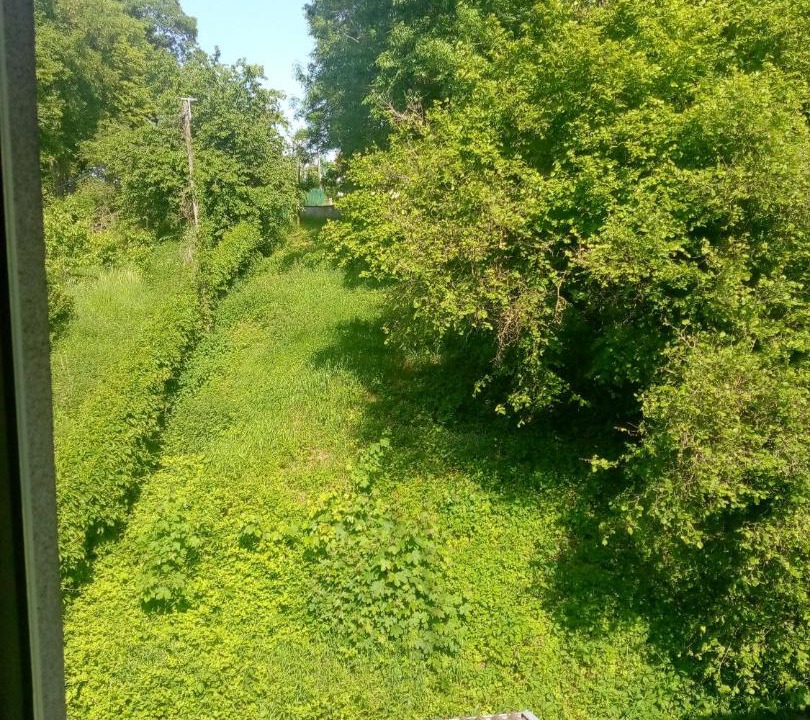 Photo of Others in Contrexeville