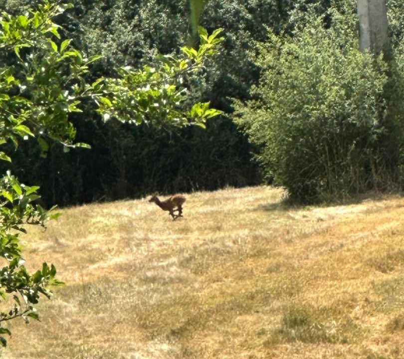 Photo of Others in Neuvy