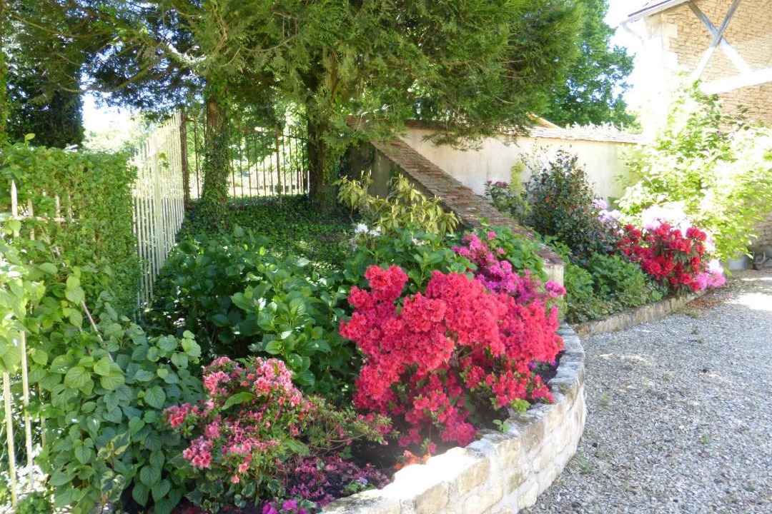 Photo of Others in Druyes-les-Belles-Fontaines