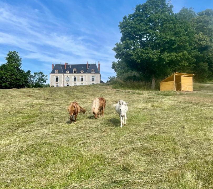Photo of Others in Etang-sur-Arroux
