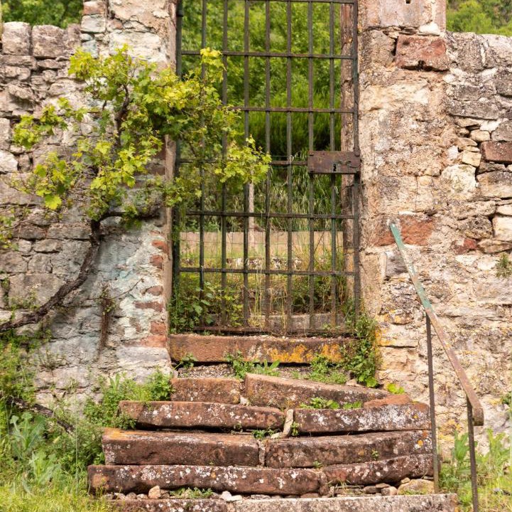 Photo of Others in Salles-la-Source