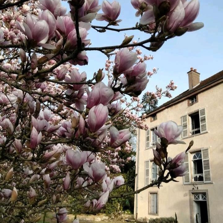 Photo of Others in Villersexel