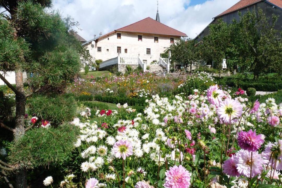 Photo of Buildings in Longeville