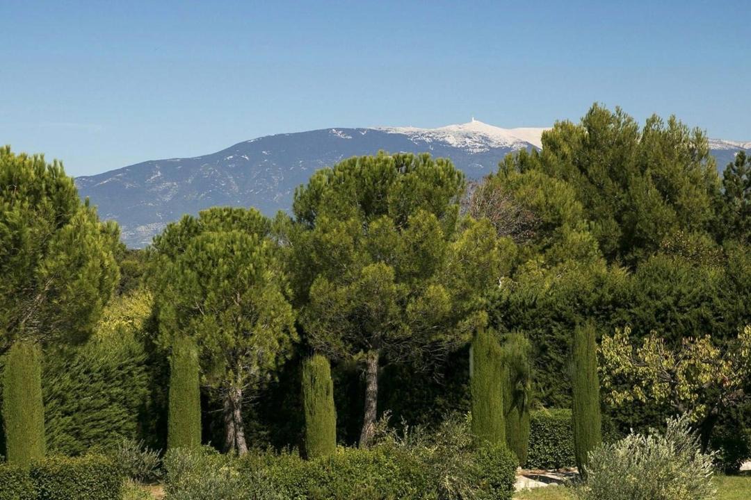 Photo of Others in La Roque-sur-Pernes