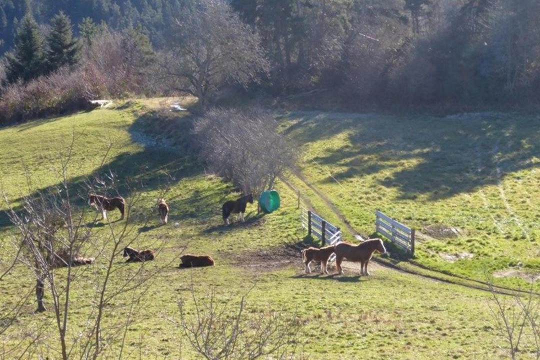 Photo of Others in Saint-Vert