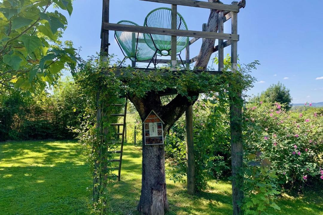 Photo of Others in Bresse-sur-Grosne