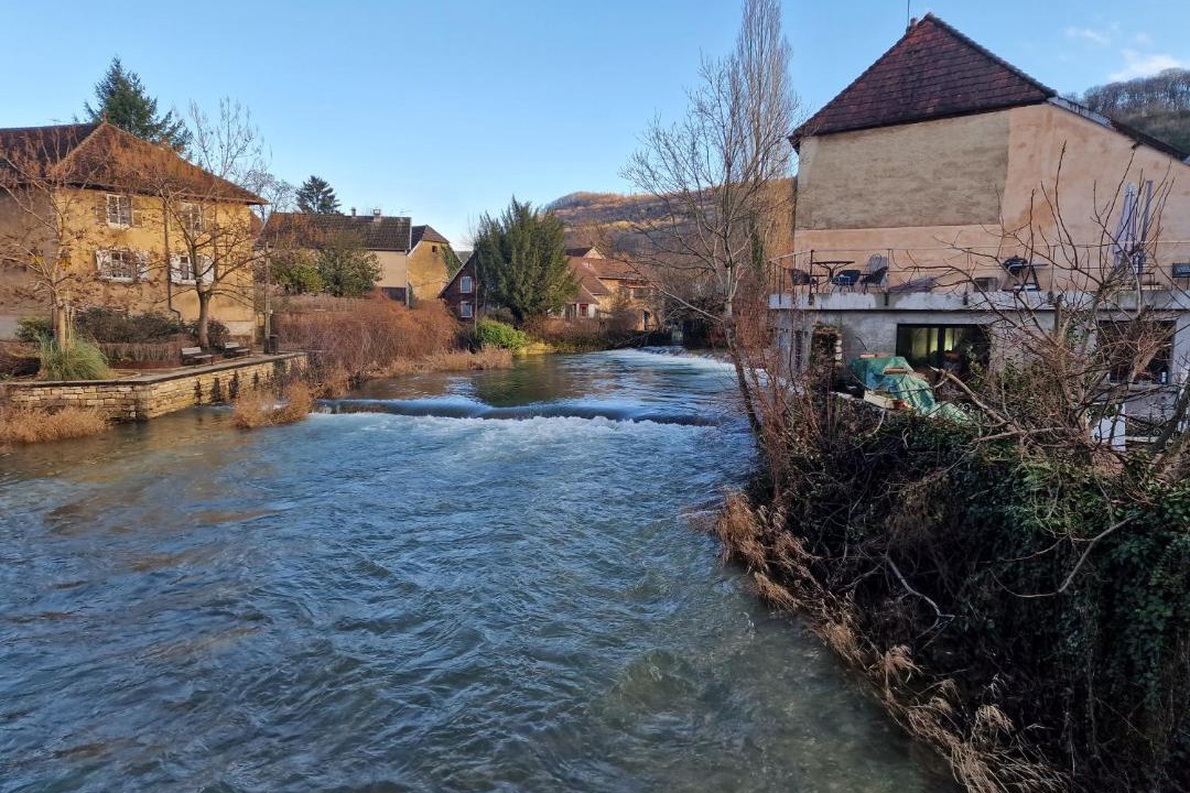 Photo of Others in Arbois