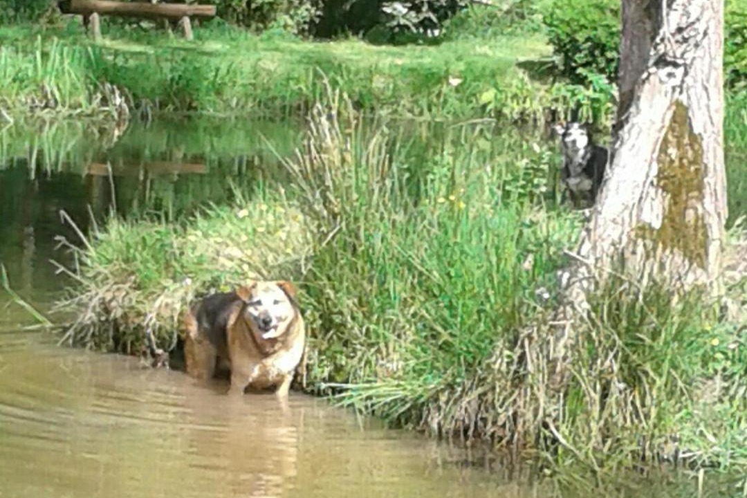 Photo of Others in Rasey
