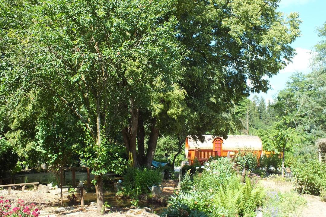 Photo of Others in Rasey