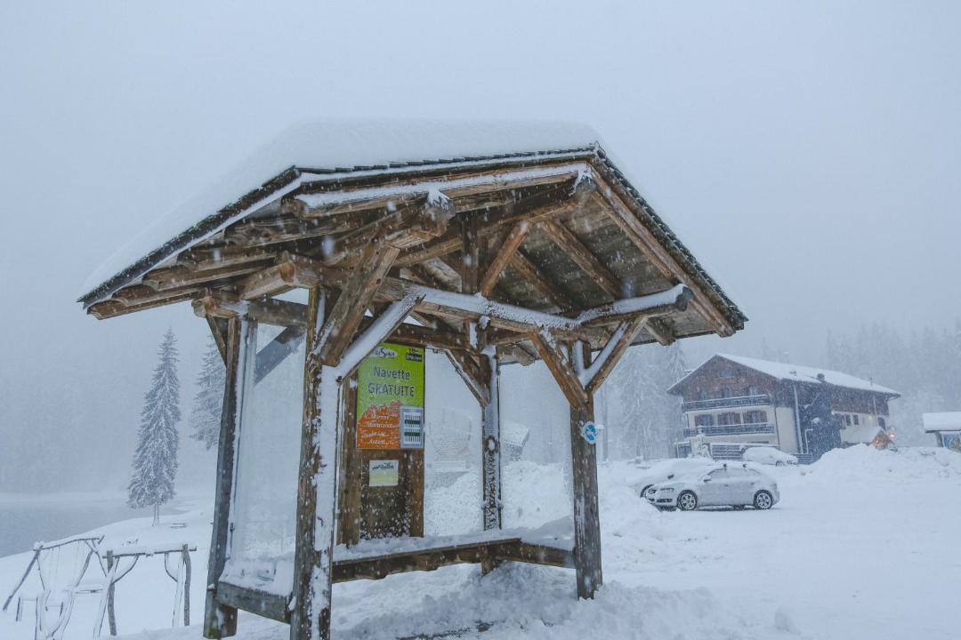 Photo of Others in Montriond