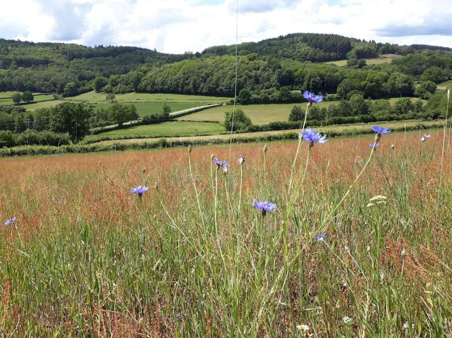 Photo of Others in Cussy-en-Morvan